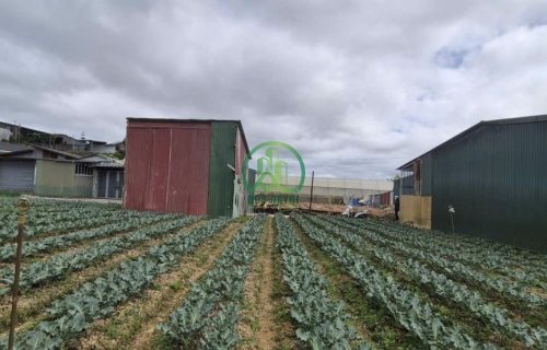 🌟 CẦN BÁN LÔ ĐẤT ĐƯỜNG AN TÔN, P. CAM LY - ĐÀ LẠT