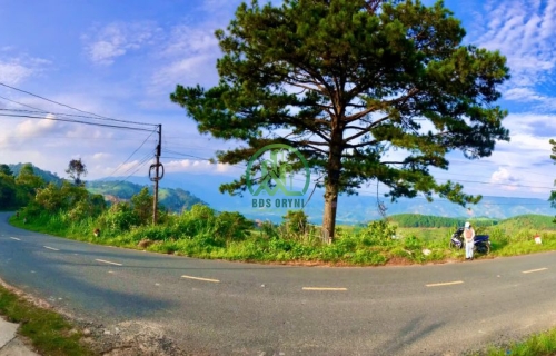 🌤 CẦN BÁN LÔ ĐẤT NÔNG NGHIỆP ÔM MẶT ĐƯỜNG NHỰA QL27 TẠI PHÚ SƠN - LÂM HÀ