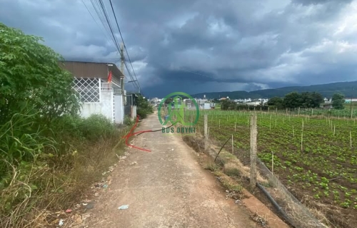CẦN BÁN NHÀ ĐẤT TRUNG TÂM ĐỨC TRỌNG, LÂM ĐỒNG