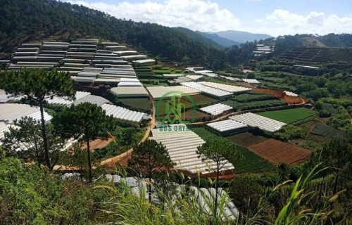 🌤 CẦN BÁN LÔ ĐẤT TẠI XUÂN THỌ, P. XUÂN TRƯỜNG - ĐÀ LẠT