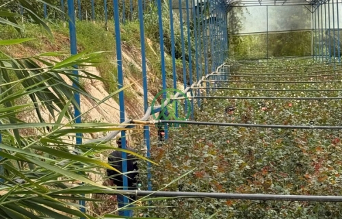 🌟 CẦN BÁN ĐẤT ĐƯỜNG ĐANKIA, P. LANGBIANG - ĐÀ LẠT