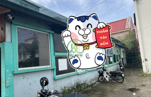 🌤 CẦN BÁN ĐẤT LIÊN KẾ ĐƯỜNG NGUYỄN VĂN CỪ, P. XUÂN HƯƠNG - ĐÀ LẠT