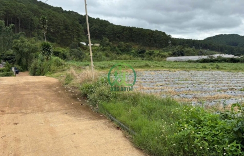 ⚡️CẦN BÁN LÔ ĐẤT TÀ NUNG - PHƯỜNG CAM LY - ĐÀ LẠT 