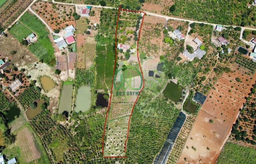 🌟 CẦN BÁN ĐẤT ĐÔNG THANH, NAM BAN - LÂM HÀ