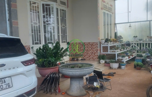 🏡 CẦN BÁN 02 CĂN NHÀ LIỀN KỀ NHAU TẠI ĐÔNG THANH - LÂM HÀ