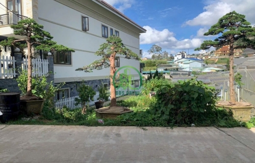 💥 CẦN BÁN LÔ ĐẤT TRỊNH HOÀI ĐỨC - PHƯỜNG XUÂN TRƯỜNG - ĐÀ LẠT (P11 cũ)