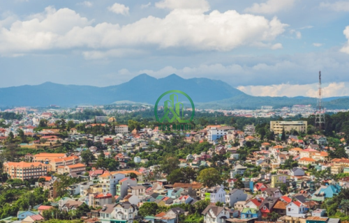 BÁN NHÀ ĐƯỜNG THÔNG THIÊN HỌC - P2 - ĐÀ LẠT