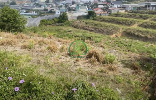 CẦN BÁN HƠN 1HA ĐẤT ĐẸP, KHU VỰC TRẠI MÁT, P. XUÂN TRƯỜNG, ĐÀ LẠT