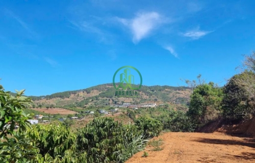 🌟 CẦN BÁN LÔ ĐẤT TƠI XỐP Ở ĐÔNG ANH- LÂM HÀ - LÂM ĐỒNG 🌟