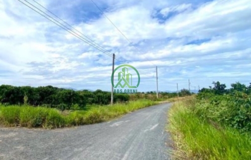 CẦN BÁN ĐẤT RỘNG ĐẸP TẠI TÂN VĂN - LÂM HÀ - ĐÀ LẠT