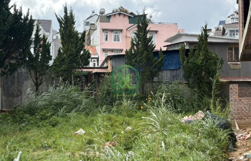 ✨ CẦN BÁN ĐẤT PHÙ ĐỔNG THIÊN VƯƠNG, P. LÂM VIÊN - ĐÀ LẠT