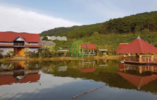 CẦN BÁN KHU NGHỈ DƯỠNG TẠI PHƯỜNG CAM LY - ĐÀ LẠT (Tà Nung cũ)