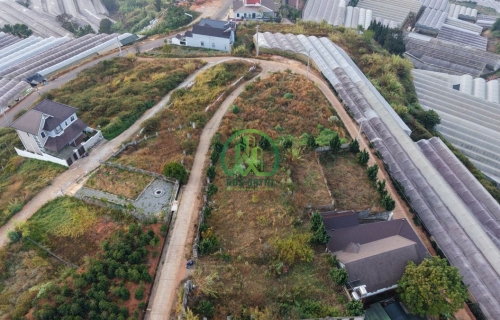 🌟 CẦN BÁN ĐẤT 2 MẶT ĐƯỜNG TẠI ĐA LỘC - XUÂN THỌ, P. XUÂN TRƯỜNG - ĐÀ LẠT