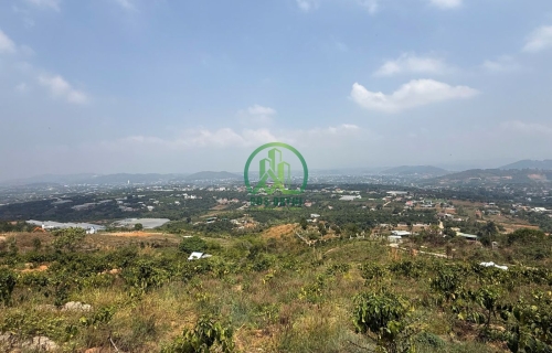 💥 CẦN BÁN 4 SÀO ĐẤT TẠI ĐÔNG THANH, NAM BAN - LÂM HÀ