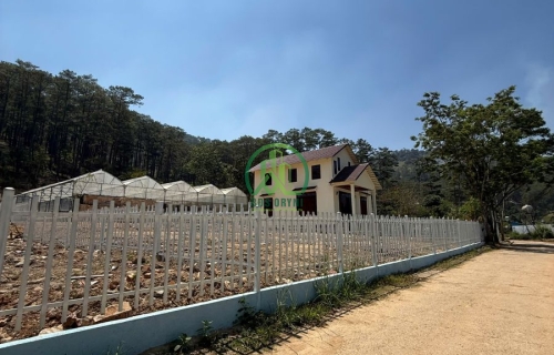 💥 CẦN BÁN ĐẤT NGAY CHÂN ĐÈO PREN, HIỆP THẠNH