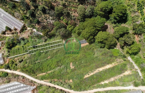 CẦN BÁN 5000M2 ĐẤT SỔ RIÊNG NÔNG NGHIỆP TẠI ĐƯỜNG XUÂN THÀNH - XUÂN THỌ - ĐÀ  LẠT - LÂM ĐỒNG  