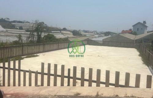 🌤 CẦN BÁN ĐẤT TRẦN QUANG KHẢI, P LÂM VIÊN - ĐÀ LẠT