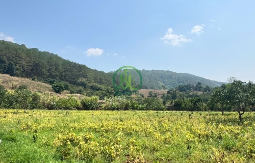 ✨ CẦN BÁN 3800 M2 ĐẤT TẠI MÊ LINH, LÂM HÀ