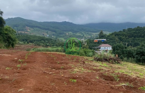 🏡 CẦN BÁN 7 LÔ ĐẤT TẠI NAM BAN, LÂM HÀ, LÂM ĐỒNG