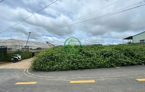 💥 CẦN BÁN LÔ ĐẤT 2 MẶT TIỀN TẠI TRẠI MÁT - PHƯỜNG XUÂN TRƯỜNG - ĐÀ LẠT (P11 cũ)