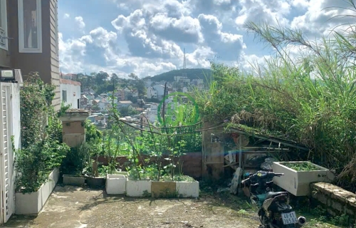 LÔ ĐẤT ĐẸP XÂY BIỆT THỰ ĐƯỜNG NGUYỄN TRUNG TRỰC- ĐÀ LẠT 