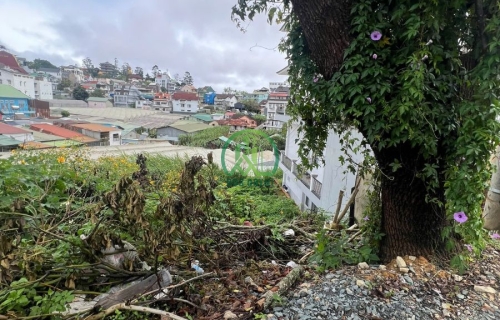 🌤 CẦN BÁN LÔ ĐẤT NÔNG NGHIỆP TRẦN KHÁNH DƯ - P. LÂM VIÊN - ĐÀ LẠT (P8 cũ)