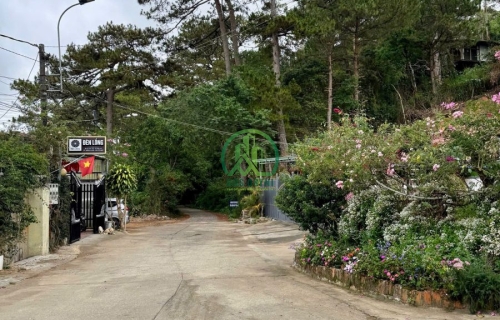 🏡 CẦN BÁN NHÀ ĐƯỜNG LÊ LAI, P. CAM LY - ĐÀ LẠT