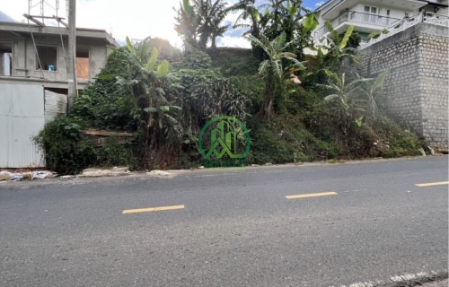 BÁN ĐẤT MẶT TIỀN ĐƯỜNG LỚN TRIỆU VIỆT VƯƠNG – P.3. ĐÀ LẠT