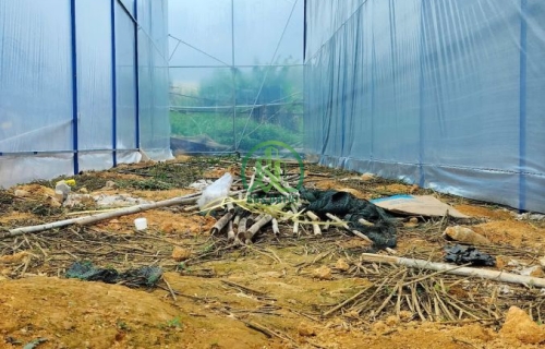 BÁN ĐẤT NGUYÊN TỬ LỰC . P8. ĐÀ LẠT