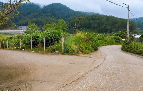 CẦN BÁN ĐẤT 2 MẶT HẺM ĐƯỜNG MIMOSA - P10 - ĐÀ LẠT