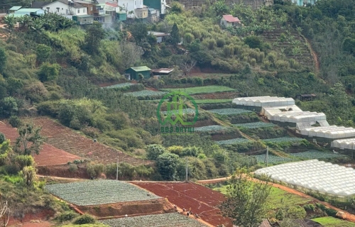 CẦN BÁN  ĐẤT 2 MẶT TIỀN XÃ XUÂN THỌ, TP. ĐÀ LẠT, LÂM ĐỒNG