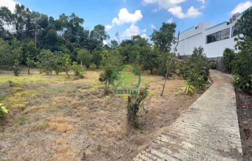 CẦN BÁN ĐẤT HIỆP AN - ĐỨC TRỌNG - LÂM ĐỒNG - GIÁ 52 TỶ