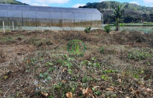 CẦN BÁN ĐẤT ĐƯỜNG MIMOSA P10 - ĐÀ LẠT CHỈ 2,250 TỶ