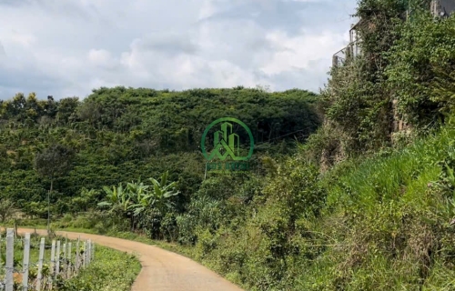 CẦN BÁN ĐẤT CHUYỂN ĐƯỢC FULL XÂY DỰNG XÃ ĐINH TRANG HÒA, HUYỆN DI LINH, ÂM ĐỒNG