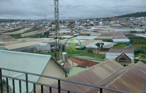 CẦN BÁN NHÀ ĐƯỜNG THÁI PHIÊN, PHƯỜNG LÂM VIÊN - ĐÀ LẠT