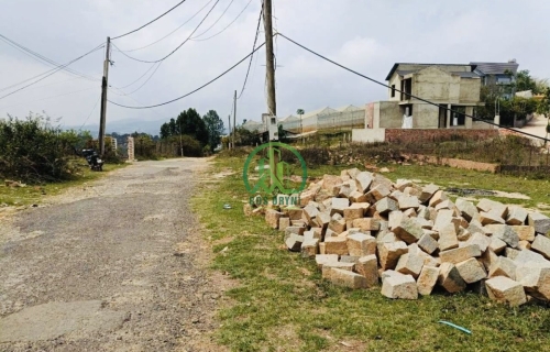 BÁN ĐẤT MĂNG LINE P7. ĐÀ LẠT