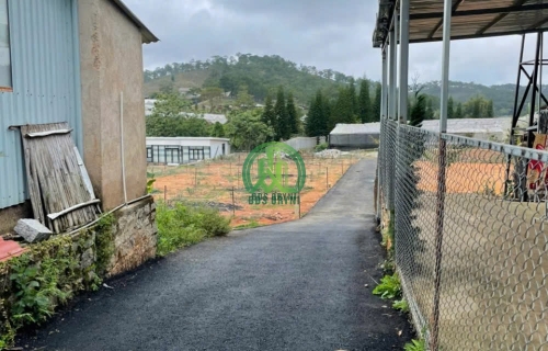 CẦN BÁN 3 LÔ ĐẤT ĐƯỜNG MĂNG LIN- P7- ĐÀ LẠT