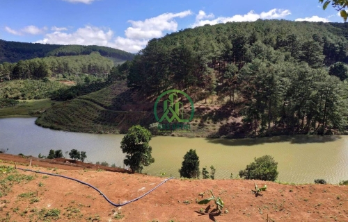 CẦN BÁN LÔ ĐẤT TẠI THÔN 5 TÀ NUNG ĐÀ LẠT