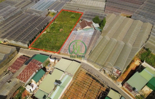 CẦN BÁN ĐẤT MẶT TIỀN ĐƯỜNG – PHƯỜNG 12. ĐÀ LẠT