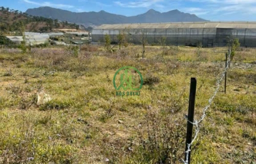 CẦN BÁN LÔ ĐẤT —— GIÁ CHỈ 350 TRIỆU