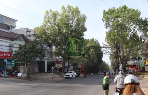 CẦN BÁN NHÀ VÀ 6 PHÒNG TRỌ MẶT TIỀN ĐƯỜNG PHÙ ĐỔNG THIÊN VƯƠNG - P8 - ĐÀ LẠT