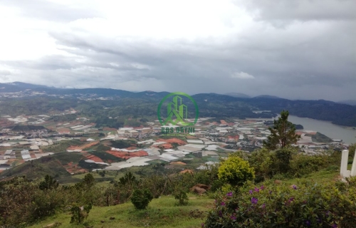 🌟 CẦN BÁN ĐẤT LẠC DƯƠNG, P. LANGBIANG - ĐÀ LẠT