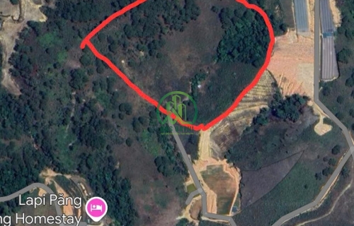 CẦN BÁN 1,7 HA ĐẤT XÃ LÁT, LẠC DƯƠNG