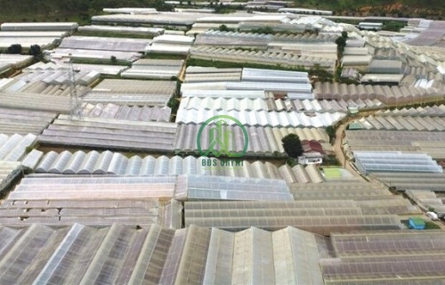 CẦN BÁN ĐẤT NÔNG NGHIỆP TẠI PHƯỜNG 8 - ĐÀ LẠT