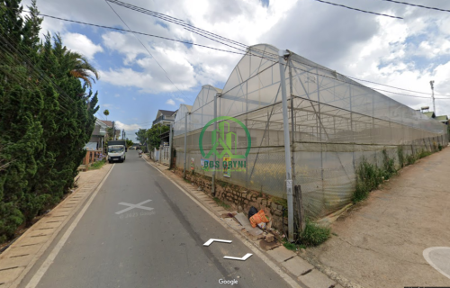 🏡 CẦN BÁN ĐẤT THÁI PHIÊN, P. LÂM VIÊN - ĐÀ LẠT