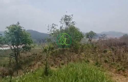 🏡 CẦN BÁN 3.851 M2 ĐẤT ĐA SA - LẠC DƯƠNG