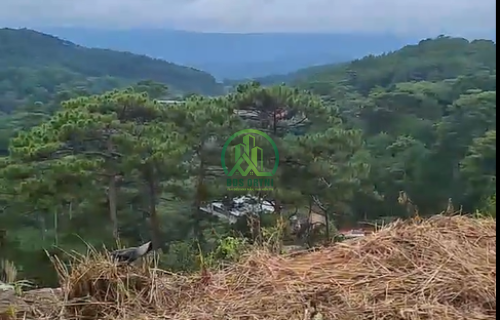 CẦN BÁN 1.855 M2 ĐẤT ĐƯỜNG 3/4, P.XUÂN HƯƠNG - ĐÀ LẠT (P3)