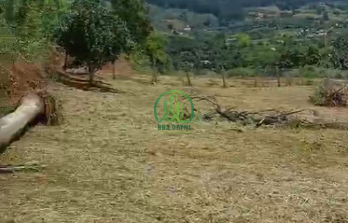 🏡 CẦN BÁN 7 LÔ ĐẤT TẠI NAM BAN, LÂM HÀ, LÂM ĐỒNG