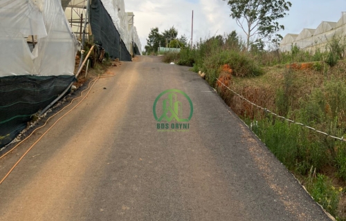 CẦN BÁN GẤP LÔ ĐẤT BIỆT THỰ THÁI PHIÊN- P12- ĐÀ LẠT