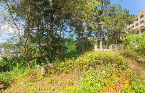 CẦN BÁN ĐẤT ĐƯỜNG LÊ THỊ RIÊNG - P7 - ĐÀ LẠT